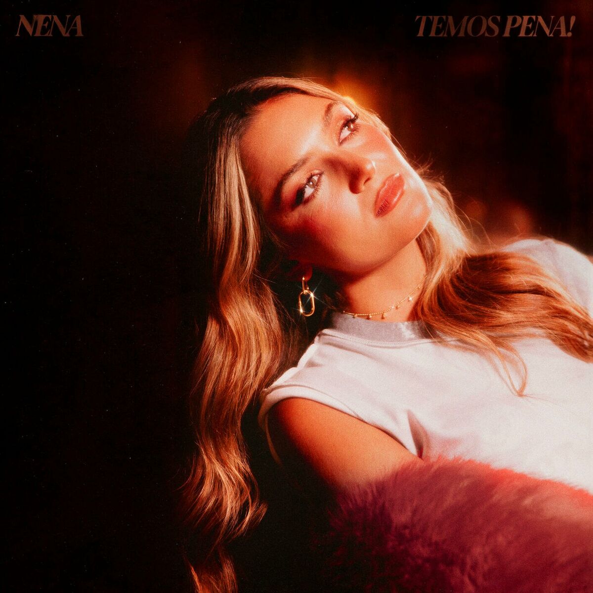 featured image thumbnail for post Nena - Temos Pena!